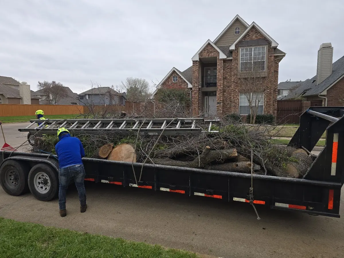 Expert Tree Fertilization with proper safety equipment in Cordesville